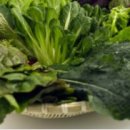 반포뉴본한의원 이미지