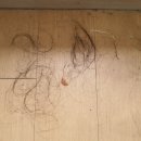 그린플러스 구로 해담채2 이미지