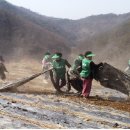 농암시장 이미지