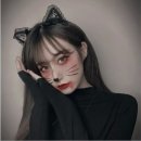 디자인4캣츠