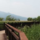 나무쉼터 이미지