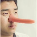 1209 이미지
