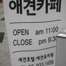 도니바니 애견유치원 이미지