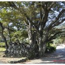 사곡중학교 이미지