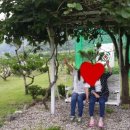 청솔(둘레길펜션) 이미지