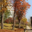 장자대로 이미지