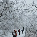 금오산 경북 구미시 산행기록 (25.3.5.수) 이미지