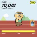왕십리조은동물병원 | [일상] 250811-250817 : 잼난 컨텐츠가 가득하길 바란건 맞는데 너무 많았음..
