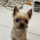 반야시스터 이미지