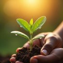 아로마테라피 이미지