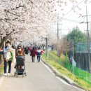 홈플러스 조치원점 이미지