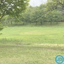 베스트행정사사무소 | GABA 테아닌 마그네슘 불면증 수면유도제 약국 인기 영양제 TOP10 | 천연 숙면제 효능 부작용 후기 비교