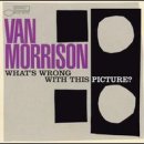 van morrison/somer set 이미지