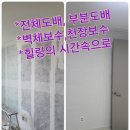 서울 경기 집 수리/강동구, 송파구 전체 도배와 부분도배 천장과 벽체 보수 과정과 후기