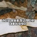 강릉 무장공비들에게 정보 제공하던 언론사들 이미지