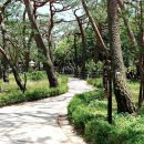솔밭공원 Daum카페