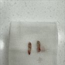 페이지동물병원 이미지