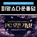 도전PC | 피망쇼다운홀덤 PC버전 출시 | 역대급 홀덤 대회 일정 및 플레이 후기까지