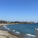 포항더엘리트독채키즈풀빌라 이미지