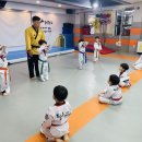 용인대효동태권도장 이미지