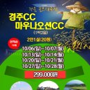 마우나오션 콘도미니엄 이미지