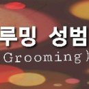 성범죄(Grooming) 이미지