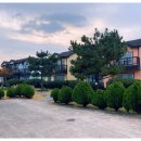 다 차 펜션 네이버블로그