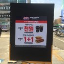 스테프핫도그익스프레스