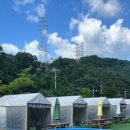 황금축산153 이미지