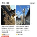 상은행정 | 피렌체 2박3일여행 우피치미술관 강화자가이드투어 후기 강추 !