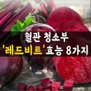 혈관청소부 레드비트 효능 8가지 이미지
