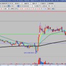 일성트레이딩 이미지