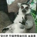 따봉 이미지
