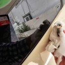 워시박스 발산역점 이미지