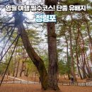 망향탑 공중화장실 | 영월 여행 필수코스! 단종 유배지 '청령포' 둘러보기