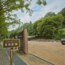 부귀 메타세쿼이아길 | 전북 진안 부귀메타세쿼이아길, 전주 근교 드라이브 산책 코스로 추천!