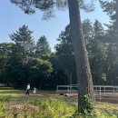 효돈빌라 주차장 | 빛으로 물드는 시간 JEJU