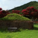 팔공산올레길 2코스 이미지