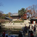 NR-43[은행나무로]-상-122 | [스크랩] 景福34 제78차文化遺産踏査; 昌德宮-後苑-昌慶宮(4-2); 昌德宮 後苑