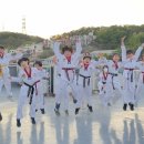 국가대표태권도 - 중구 흰바위로 14 | 국가대표태권도