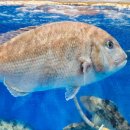 GS25포항송도점 이미지