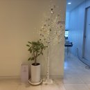 클라리티치과의원 이미지