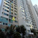 와우로34번길 이미지