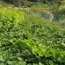 지번농장 이미지