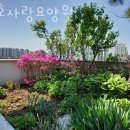 간호사랑요양원 이미지