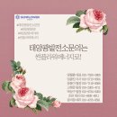 옥천태양광발전소 이미지