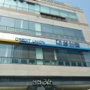 대성신협 네이버블로그