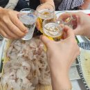 고성자연산횟집 - 창원시 마산회원구 | 고성 회센터 [돌고래횟집] 강원도 고성 횟집 자연산만 취급하는 횟집 다녀온 후기