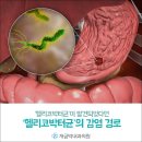 개금박내과의원 | 주례 위내시경병원, ‘헬리코박터균’이 발견되었다면