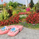 순천만국가정원(서문) 이미지